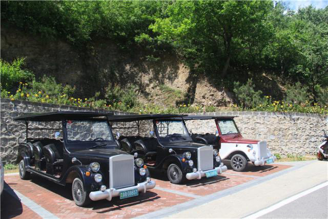 盛夏掠影，九公山长城纪念林，演绎别样的生命故事