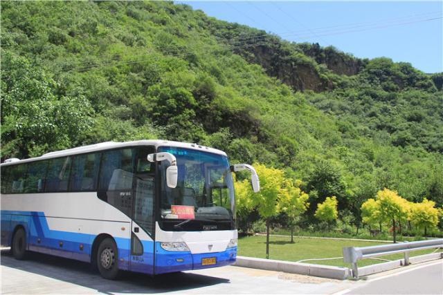 盛夏掠影，九公山长城纪念林，演绎别样的生命故事