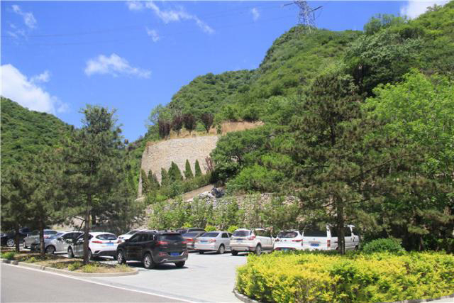 盛夏掠影，九公山长城纪念林，演绎别样的生命故事