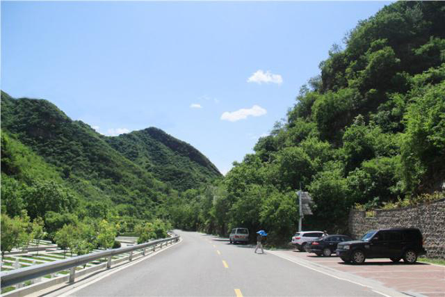 盛夏掠影，九公山长城纪念林，演绎别样的生命故事