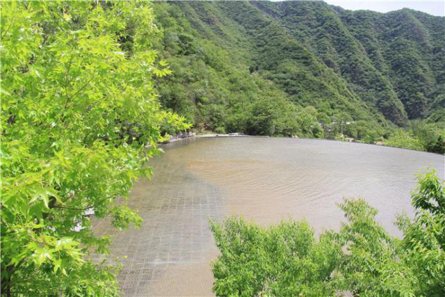 盛夏掠影，九公山长城纪念林，演绎别样的生命故事