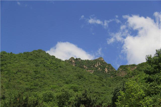 盛夏掠影，九公山长城纪念林，演绎别样的生命故事