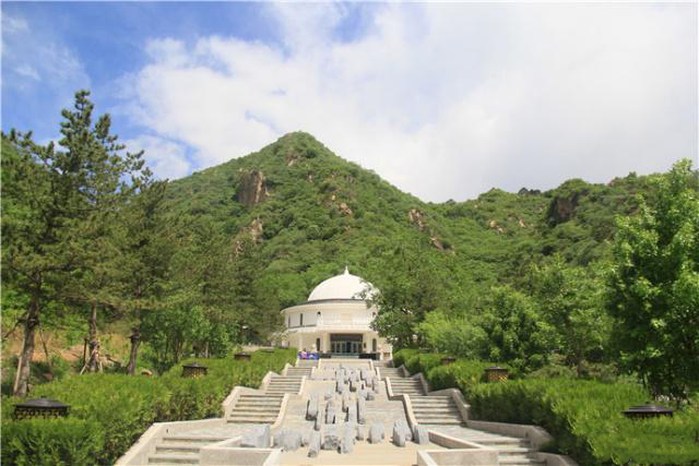 盛夏掠影,九公山长城纪念林,演绎别样的生命故事