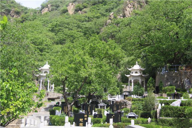 盛夏掠影，九公山长城纪念林，演绎别样的生命故事