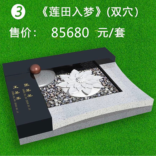 莲田入梦