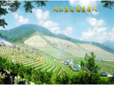 宝鸭山永久墓园