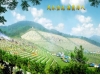 宝鸭山永久墓园 宝鸭山永久墓园