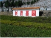 长青墓园